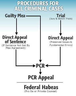Flow Chart Representing the Procedures for All Criminal Cases