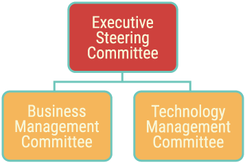 Hierarchy of the committees: Business Management and Technology Management report up to the Steering Committee