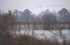 Ducks, coots and geese are abundant on Blue Grass Fish and Wildlife Area's 28 small lakes.