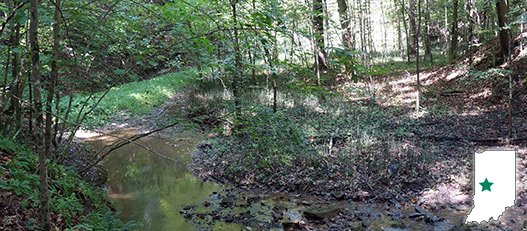 Sugar Creek Project Area Creek in woods