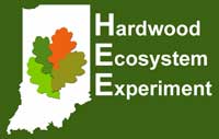 Hardwood Ecosystem Experiment logo
