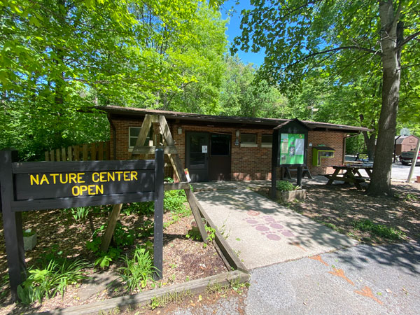 Building in woods