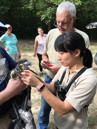 People holding bald eagle
