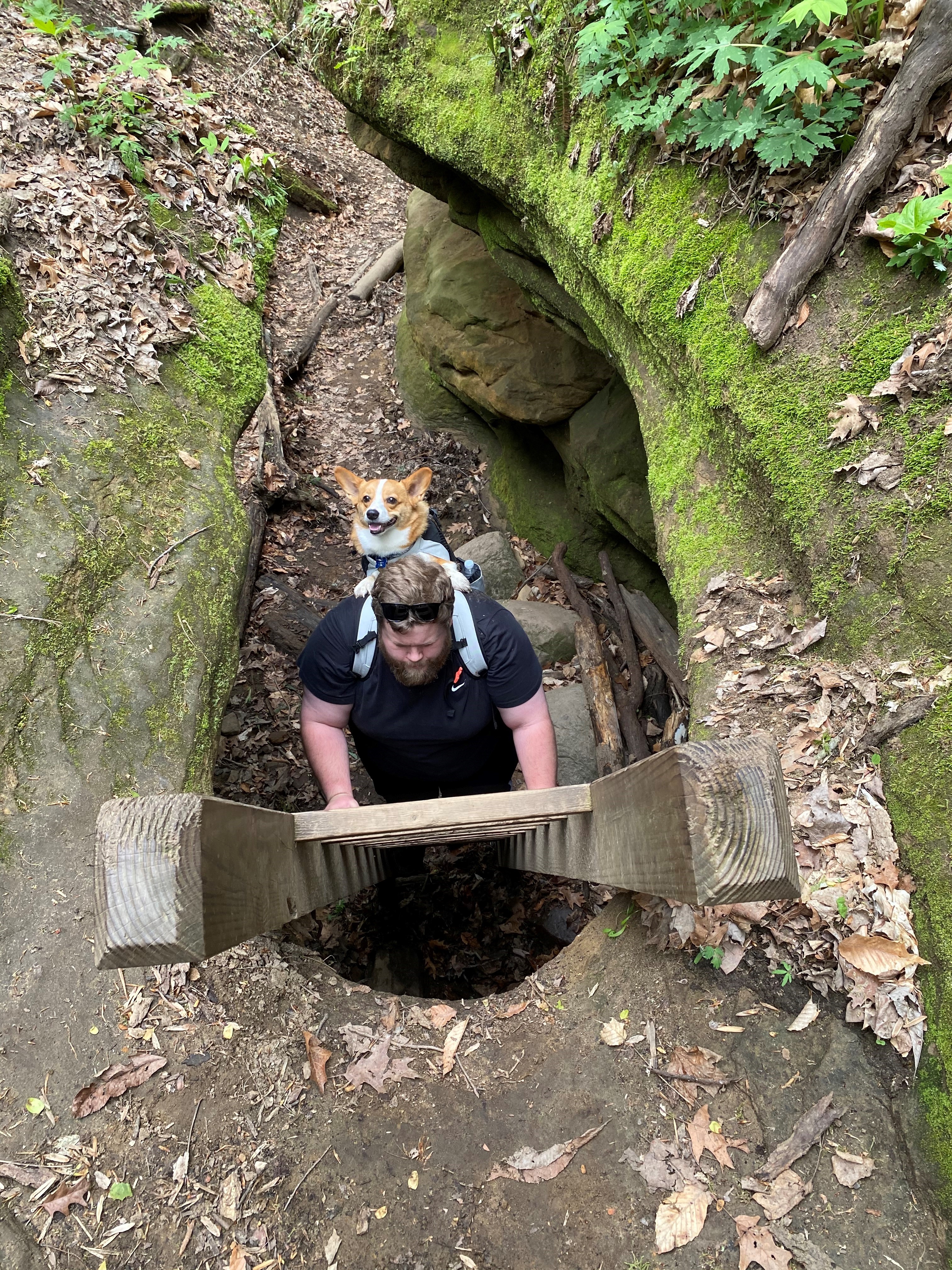 A man carrying a dog on his back climbs a climbing ladder at Shades State Park.