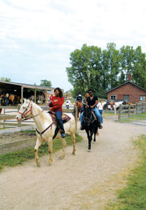Fort Harrison Saddle Barn Fort Harrison Saddle Barn