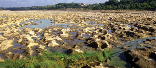 Fossil beds at Falls of the Ohio State Park. Fossil beds at Falls of the Ohio State Park.