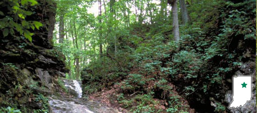 Salamonie River State Forest Salamonie River State Forest