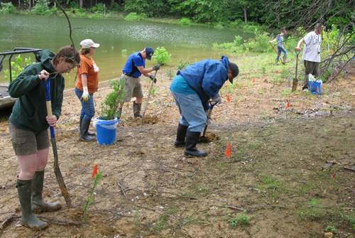 Planting vegetation Planting vegetation