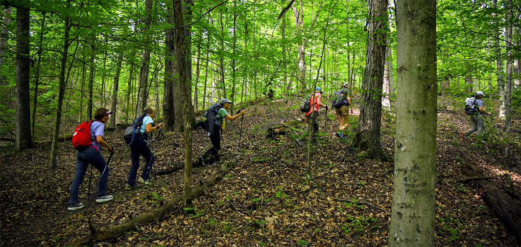 A group of hikers follow a trail in Knobstone.