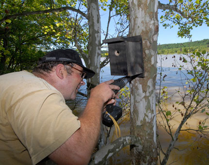 man installing bird house