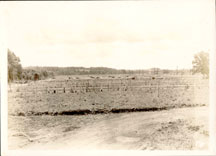 Clark State Forest Nursery