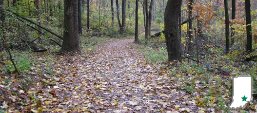 Selmier State Forest Selmier State Forest