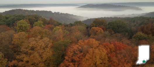 harrison-crawford state forest harrison-crawford state forest
