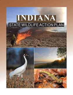 Cover of report showing wildlife