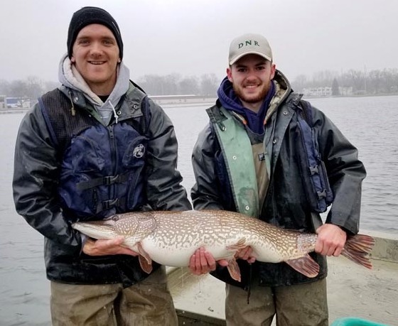 DNR: Fish & Wildlife: Northern Pike Fishing