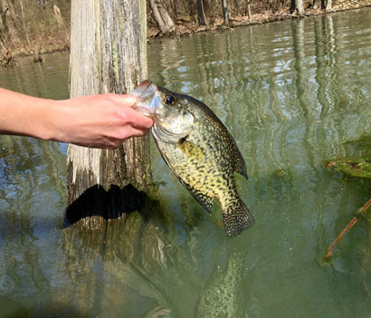 River Hotspots for Southern Indiana Papermouths - MidWest Outdoors