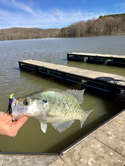 Monroe Lake, Indiana Fishing Report