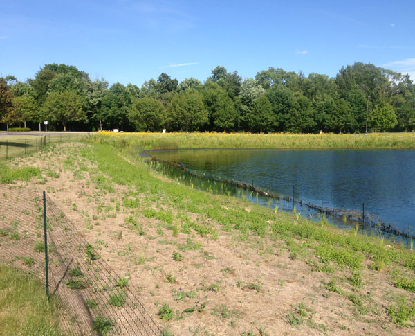 Photo of lake shore without vegetation