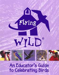 Flying Wild Cover