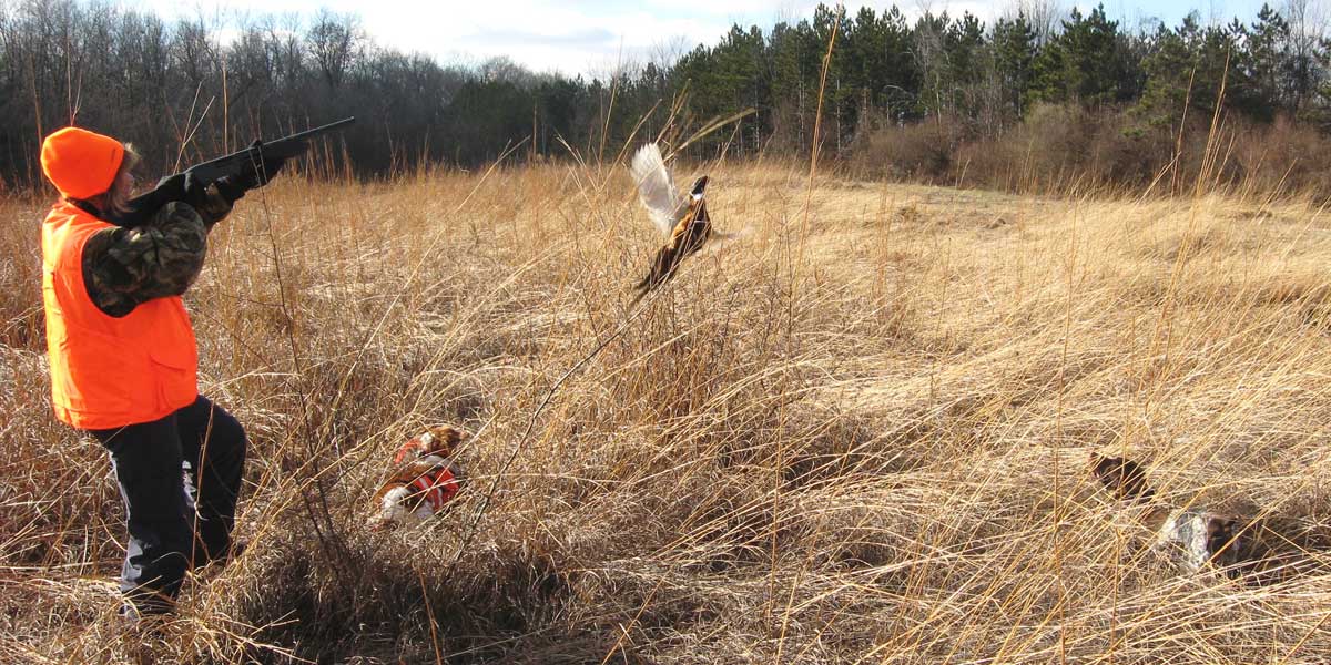 Dnr Learn To Hunt Trap And Shoot Program