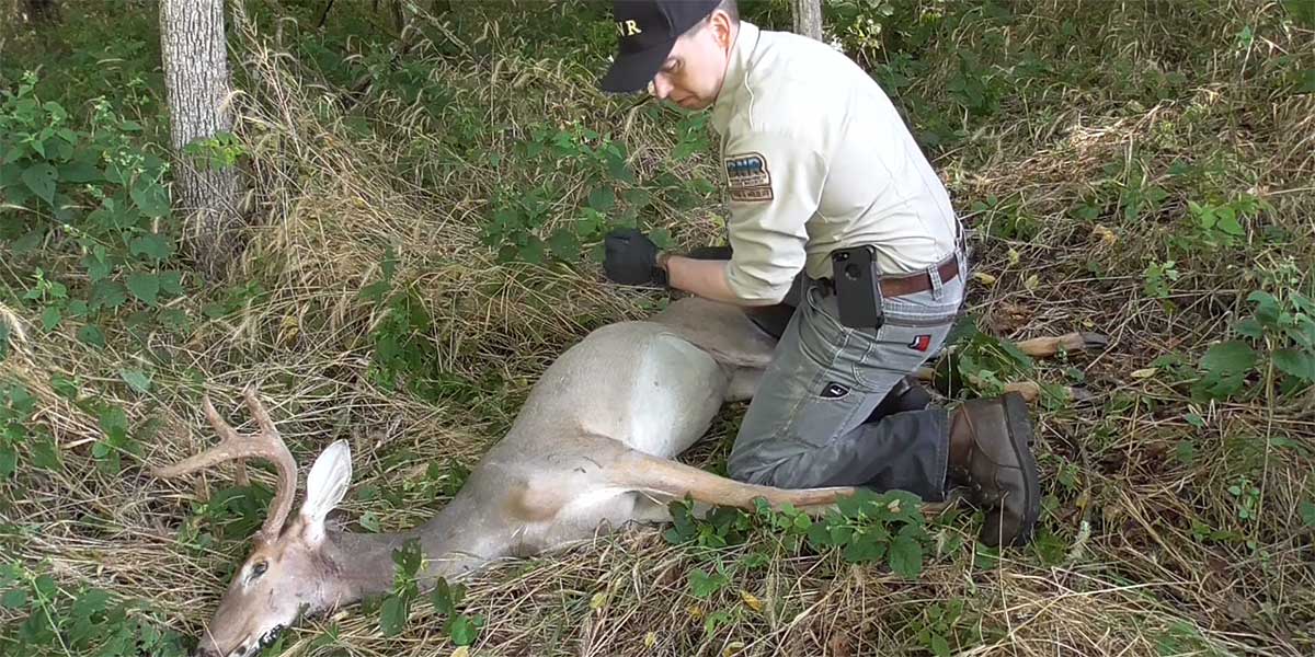 DNR Hunting & Trapping