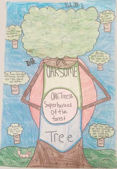2024 Arbor Day Poster, second place