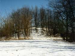 Windsor Mound