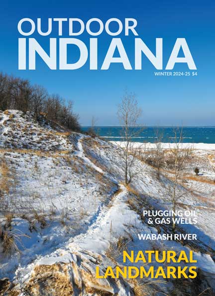  Dunes Nature Preserve at Indiana Dunes State Park is one of 30 National Natural Landmarks in the state. Photo by Brent Drinkut.