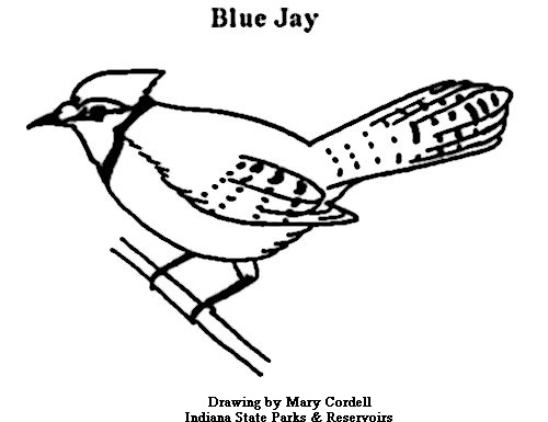 indiana coloring pages