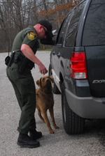Officer and K-9 search a vehicle for illegal game