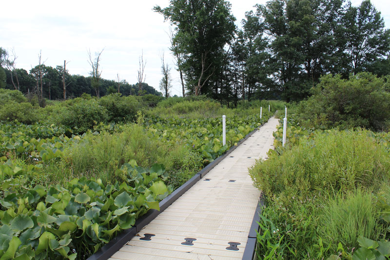 DNR Nature Preserves Newest Nature Preserves