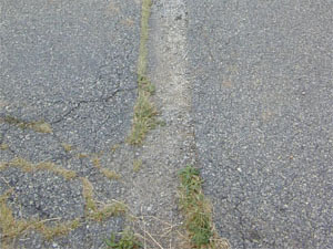 Close-up photo of a patch area with noticeable alligator cracking within the patch.             Some of the visible cracks have grass growing in them.