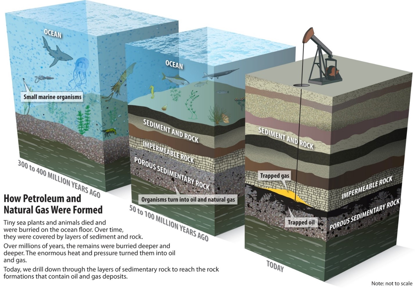 OED Natural Gas