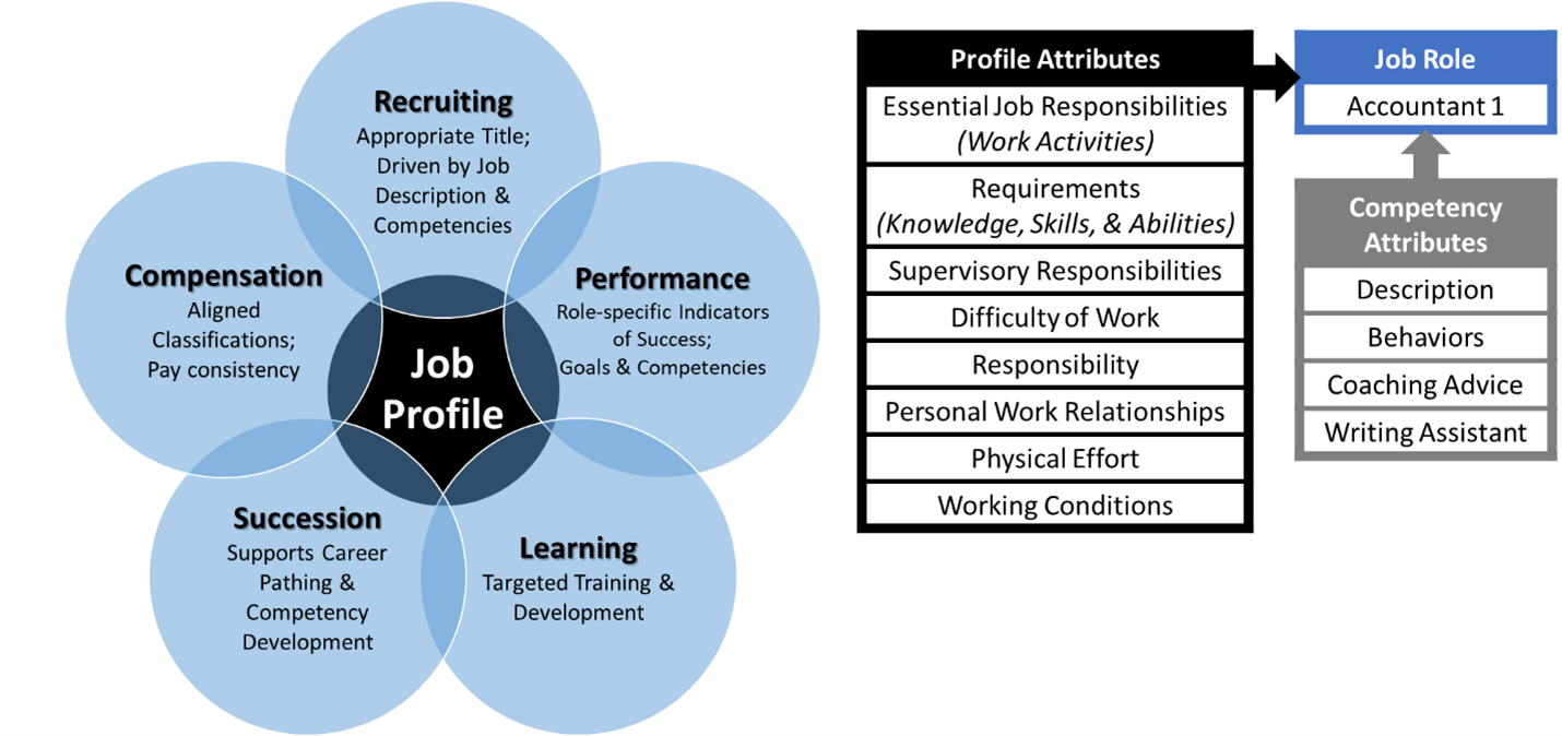 SPD Core Competencies And Job Architecture